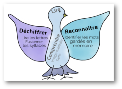 L'oiseau de la lecture